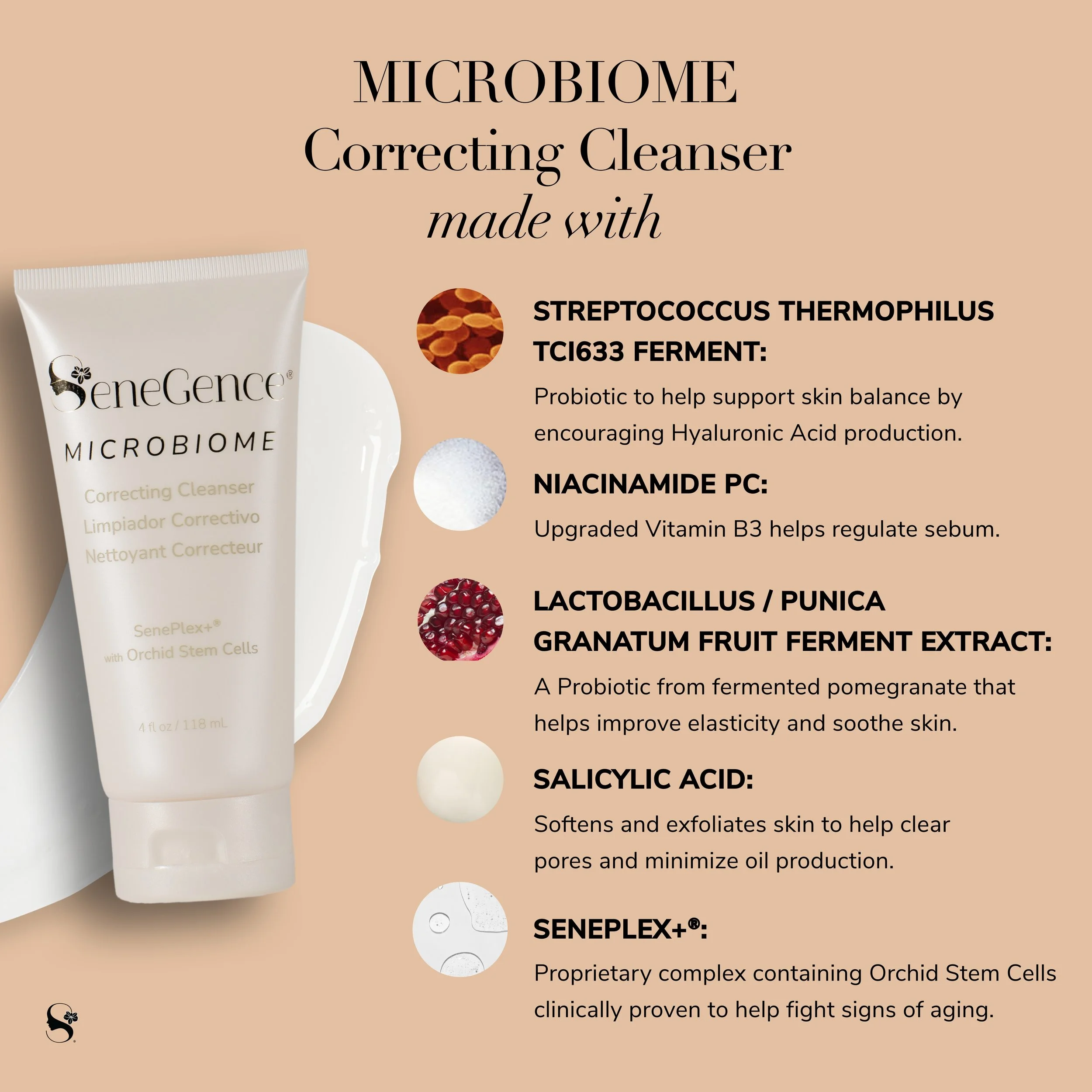 ALIVEN LIVERGE 化粧品&ヒサミインベルアクアゲル Citrus & Sea Kelp Microbiome Friendly Cleanser – Aleavia